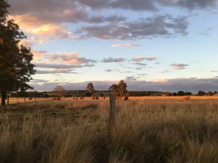 sunset behind farm
